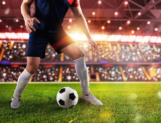 天博体育应用界面展示